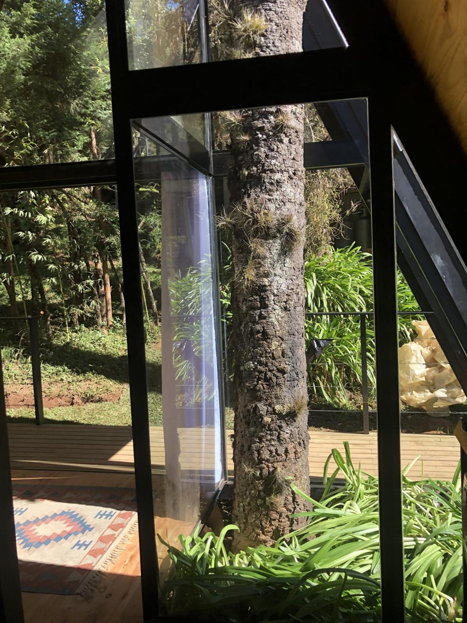 Chale Mon Amour 3 Campos do Jordão エクステリア 写真